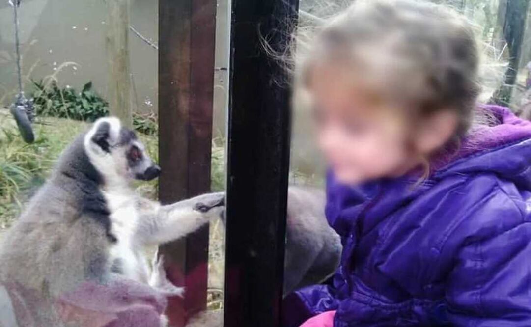 Karina tiene 10 años y sus compañeros le hacen bullying en el colegio. Foto: Facebook