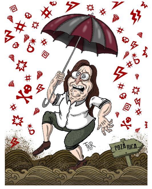 Cartón de FER