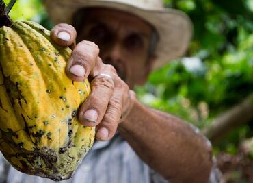 Tabasco y Bélgica: los edenes de la producción chocolatera