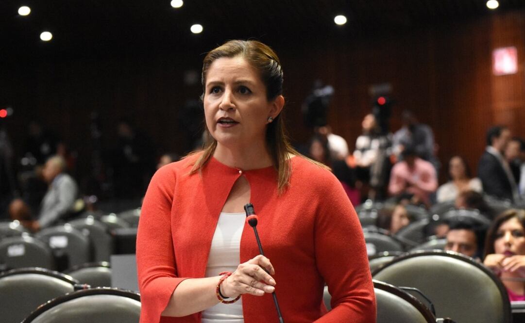 La diputada de Movimiento Ciudadano, Martha Tagle. Foto: Especial