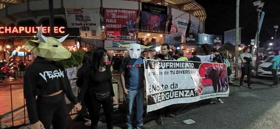 Alcaldesa podría ser destituida por no impedir corrida de toros en Cancún