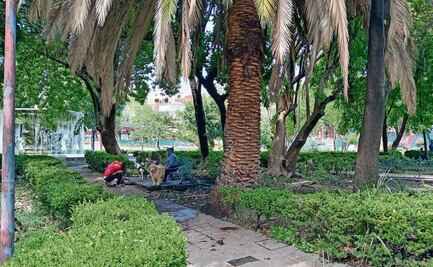 No hay acuerdo para nuevo espacio 420 en plaza Melchor Ocampo; autoridades piden consolidar sedes existentes