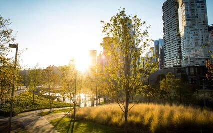 5 grandes lugares para hacer un picnic en CDMX