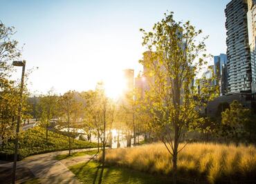 5 grandes lugares para hacer un picnic en CDMX