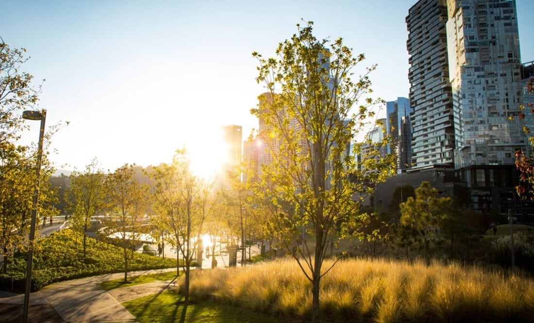 Pasa una tarde agradable con tus seres queridos en estos destinos para hacer tu picnic en CDMX. / Foto: Parque La Mexicana