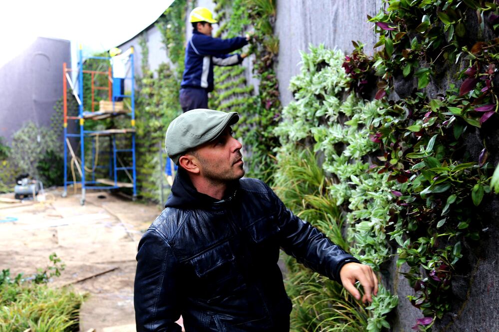 Originario de Alicante, España, Ignacio Solano Cabello fundó Paisajismo Urbano, una empresa con un inicio seudohippie, pero que hoy tiene cerca de 200 mil metros cuadrados de muros verdes construidos en varios países (CORTESÍA IGNACIO SOLANO)