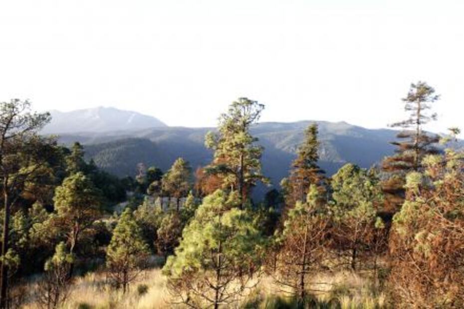 "Chato", el guardián del ecoparque San Bernabé