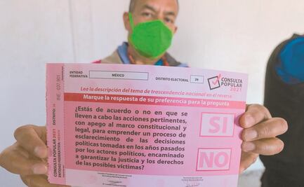 “Hoy se verá si consulta popular es adecuada”