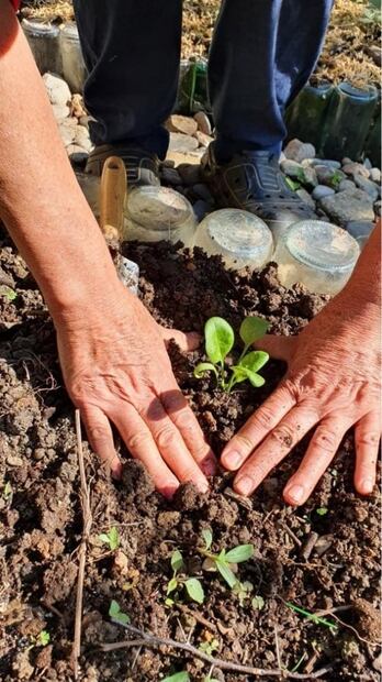 Visita La Casita Ecológica, cabañas escondidas en la Sierra Gorda de Querétaro