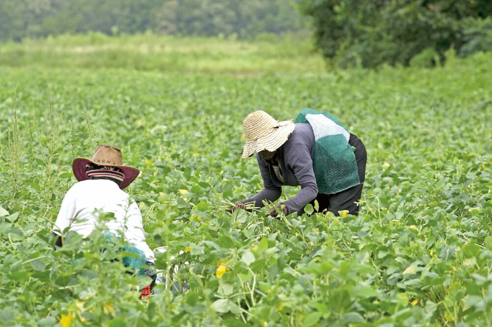 La oficina de rentas de EU junto con los departamentos de impuestos estatales y la industria tributaria, arrancarán un programa de prevención de fraudes (ARCHIVO EL UNIVERSAL)