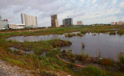 Mexican court rules against development in Tajamar