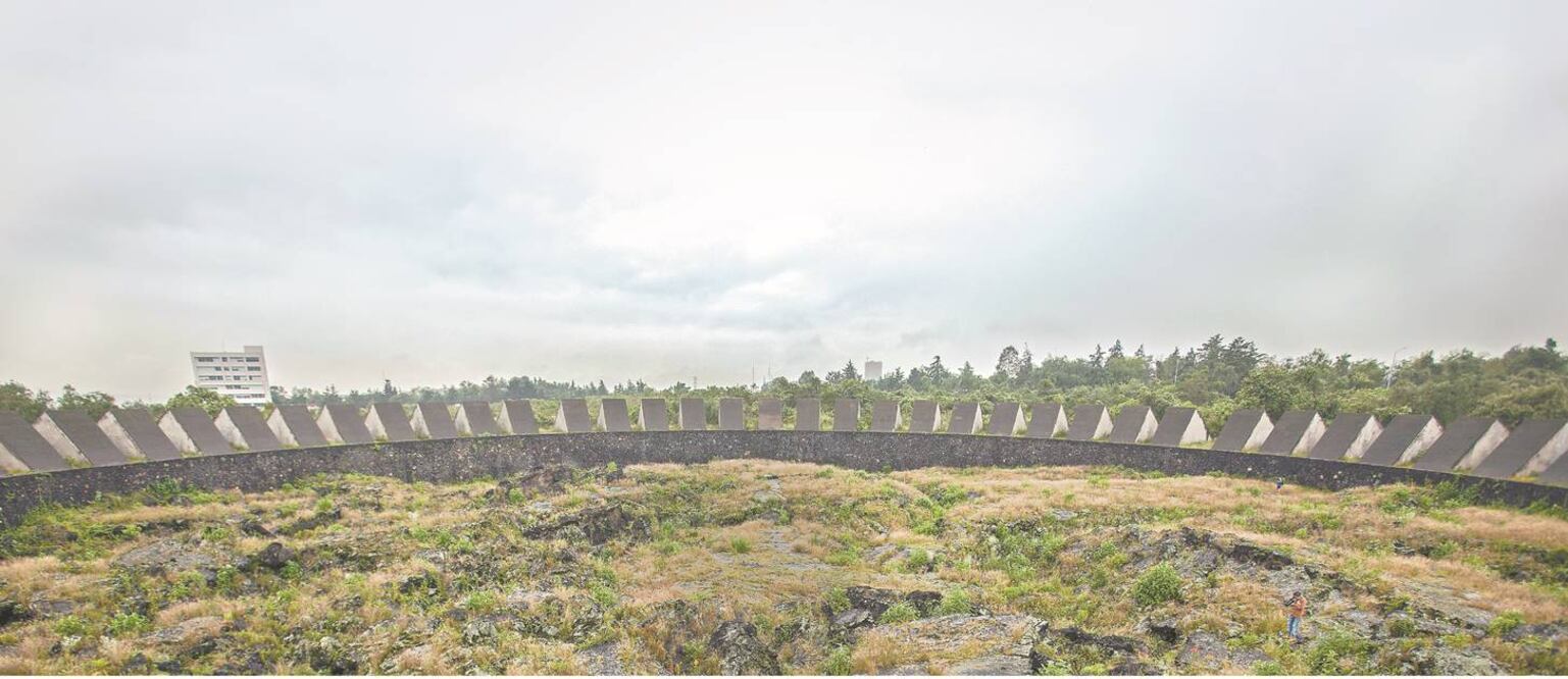 Reserva de Ecológica del Pedregal (MONTSERRAT PERALTA)