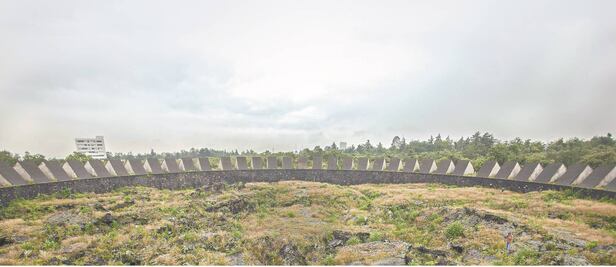 Al rescate de flora y fauna en CU