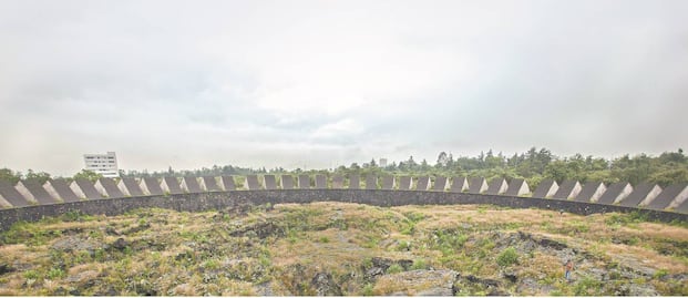 Al rescate de flora y fauna en CU