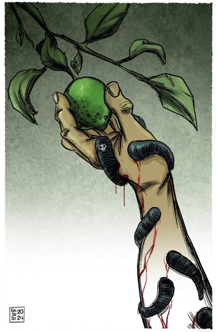 Cartón GALINDO