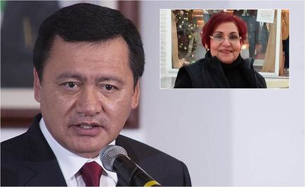 Osorio Chong pide a autoridad local esclarecer asesinato de activista de Tamaulipas