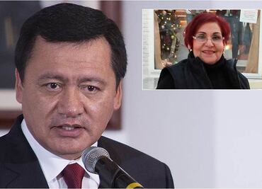 Osorio Chong pide a autoridad local esclarecer asesinato de activista de Tamaulipas