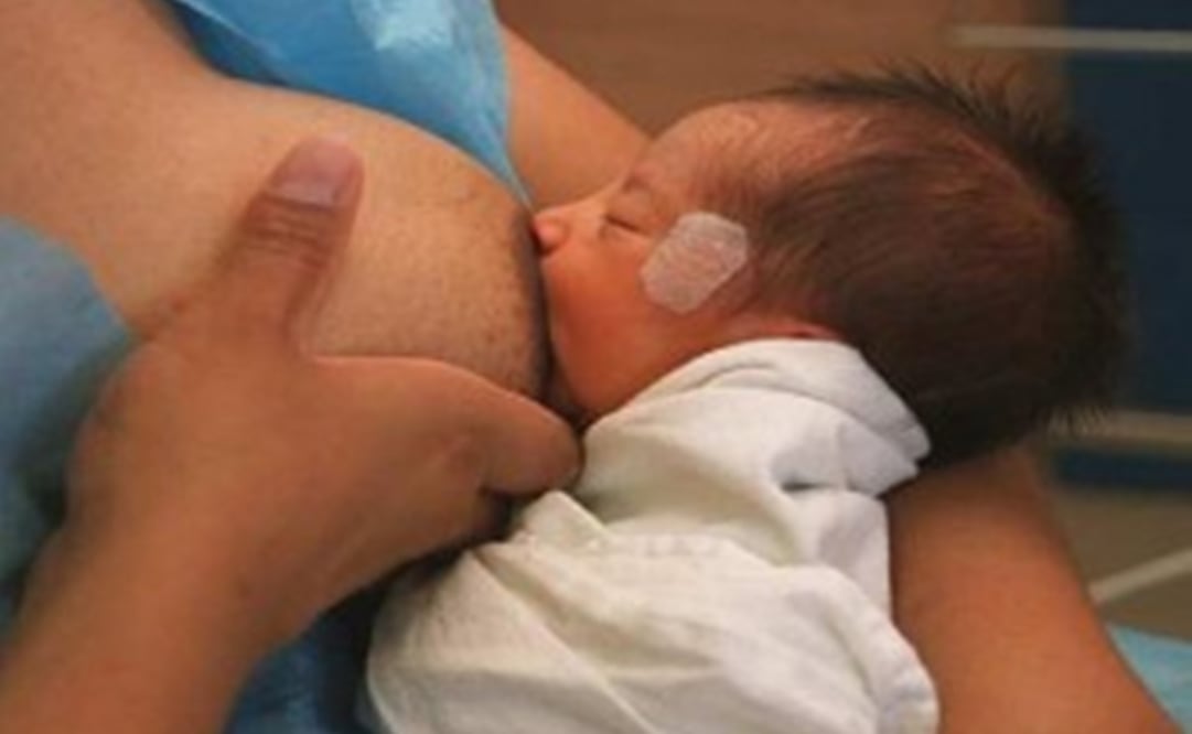 Foto: Archivo/EL UNIVERSAL