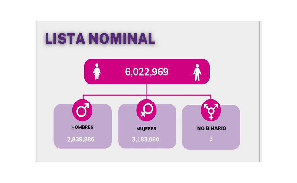 Veracruz: árbitro electoral llama a la madurez política. Foto: Especial