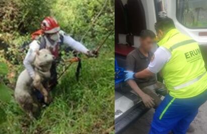 Joven cae a barranco en el bosque de Chapultepec al intentar ayudar a lomito atrapado; ambos fueron rescatados