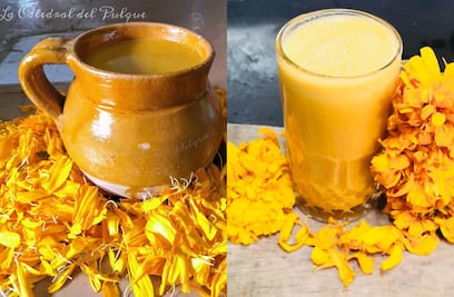 Pulque de cempasúchil: dónde lo puedes encontrar