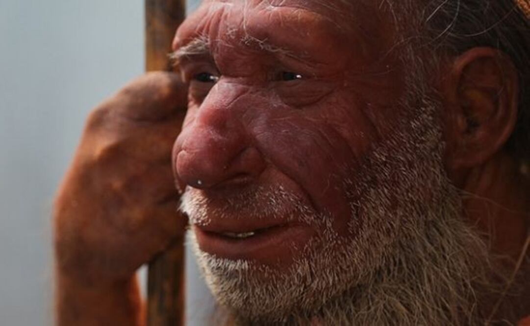  Los neandertales fueron una especie que vivió en la zona de Eurasia hace 200 mil años. (FOTO: ESpecial)