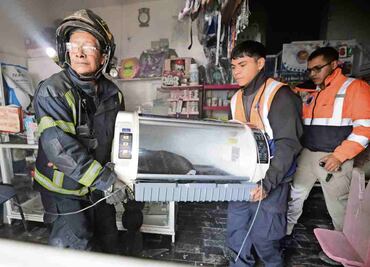 Rescatan a 6 animales de incendio en una veterinaria en Tlatelolco