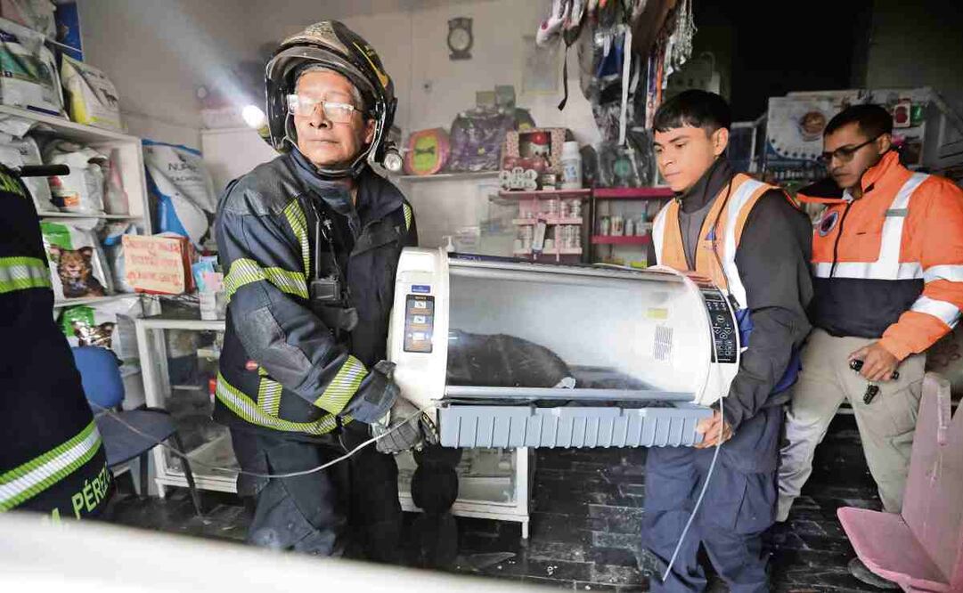 Bomberos acudieron a la veterinaria donde se originó el fuego. Foto: Francisco Rodríguez / EL UNIVERSAL