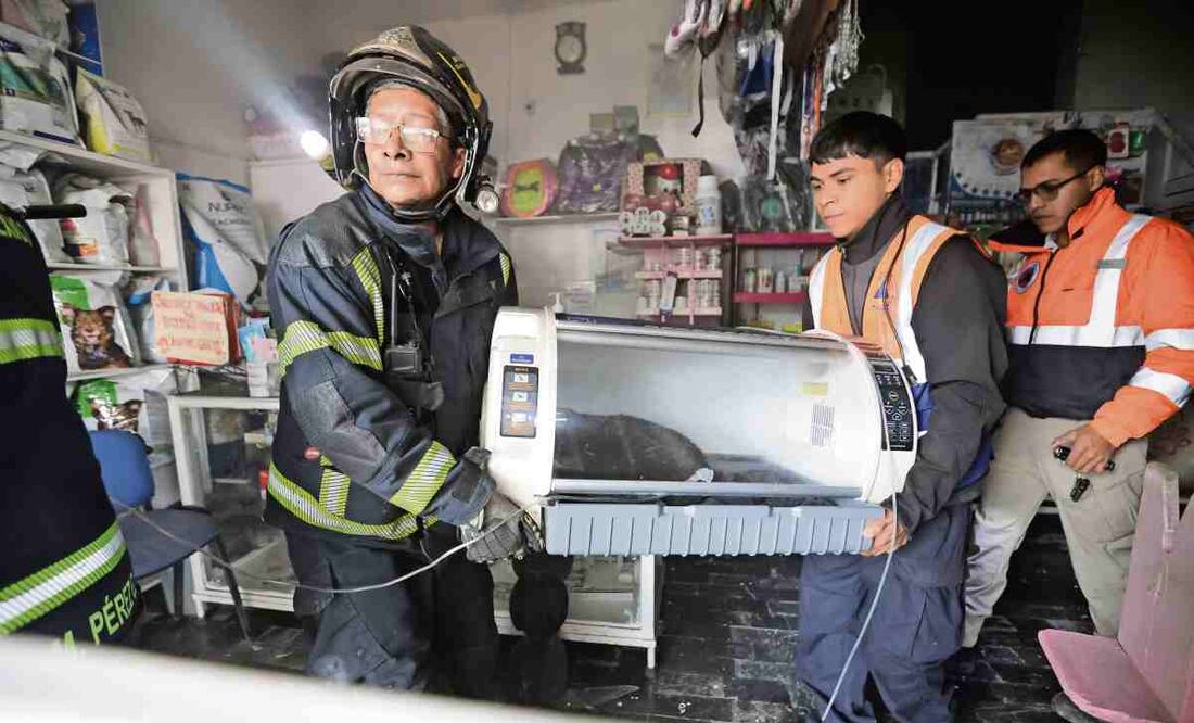 Bomberos acudieron a la veterinaria donde se originó el fuego. Foto: Francisco Rodríguez / EL UNIVERSAL