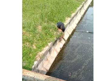 Hombre con discapacidad salva a gatito atrapado en drenaje