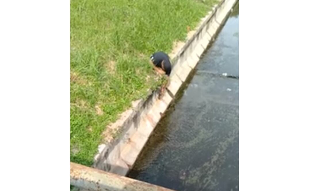 Foto: Captura de pantalla 