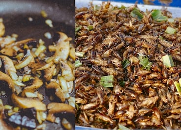 Asiste al Festival Gastronómico Viva México en Xochimilco 2019