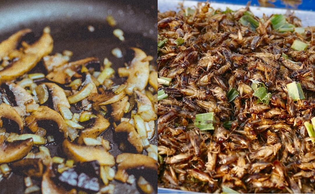 Foto: Pixabay y Pexels