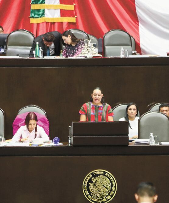 La secretaria de Bienestar, María Luisa Albores, compareció ante el pleno de la Cámara de Diputados. DIEGO SIMÓN. EL UNIVERSAL