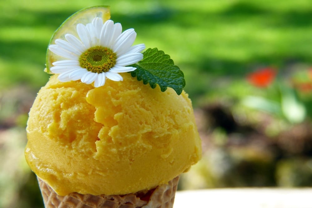 Aprende a preparar este refrescante postre / Foto: Pixabay