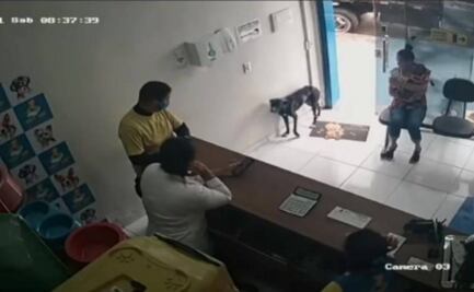 Captan a perrito en Brasil que entra a una veterinaria para que le curen su herida