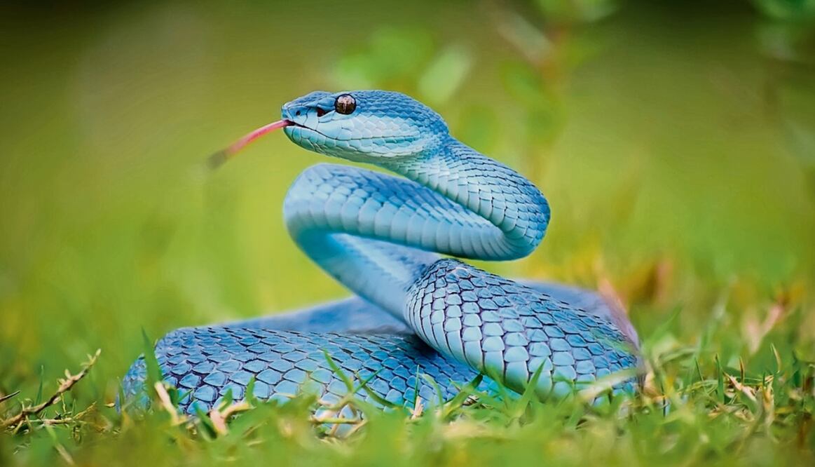 Foto: Archivo El Universal