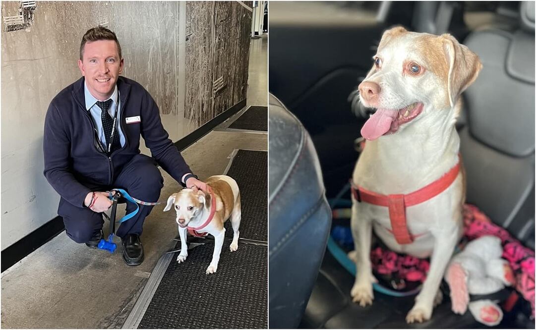 Foto: Facebook. FurBabies Animal Rescue