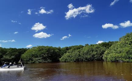 Cuentas ecológicas 2021