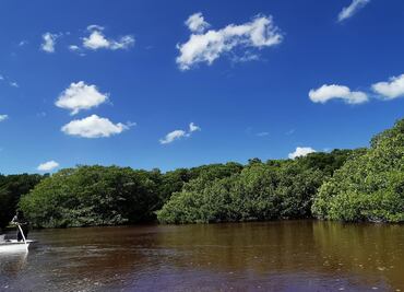 Cuentas ecológicas 2021