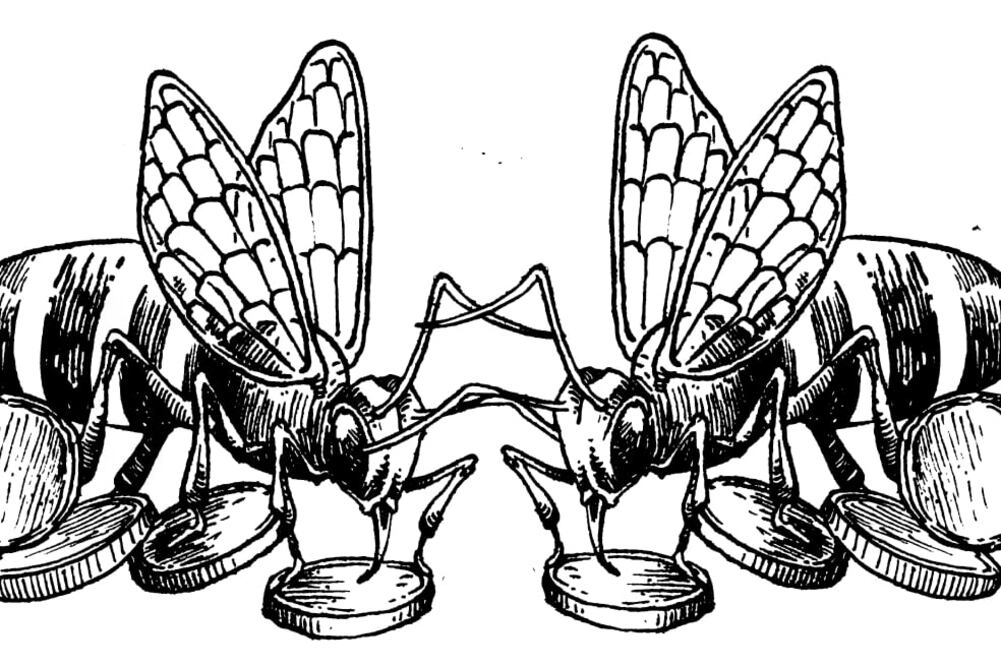 Matemáticas para la felicidad