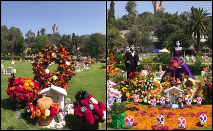 Suben precios de flores en Edomex por el Día de Muertos