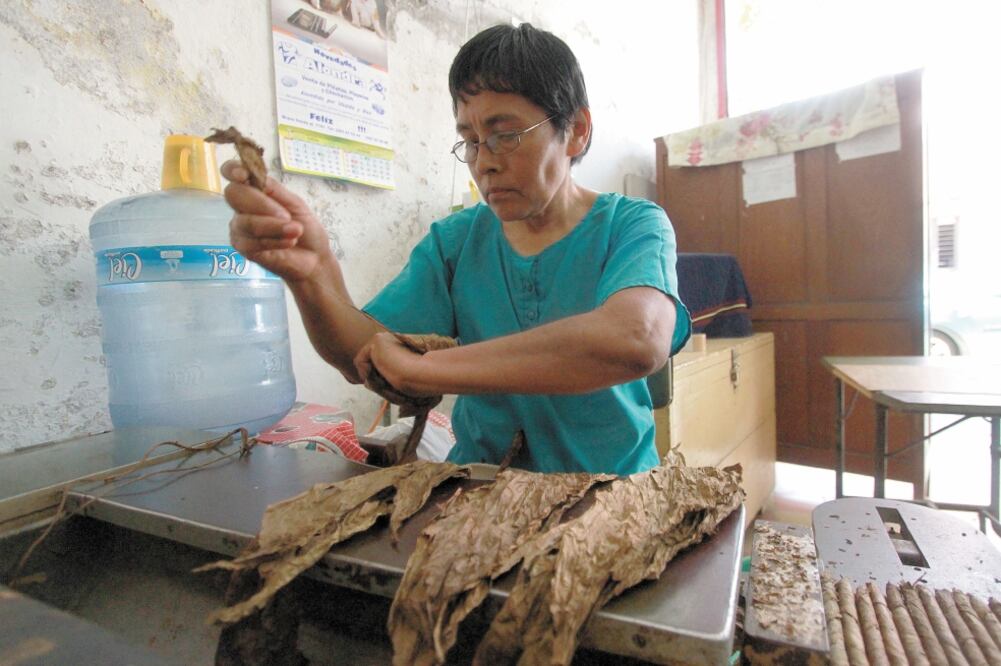 En 1993 la tabacalera cerró, pero una decena de extrabajadores rescataron algunas máquinas de la fábrica original y continuaron con la manufactura de estos icónicos puros en otro edificio. Fotos: Patricia Morales