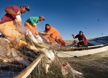 Recortes dejan en agonía a la pesca, acusa la Caninpesca