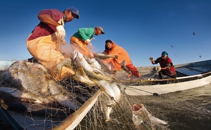 Recortes dejan en agonía a la pesca, acusa la Caninpesca