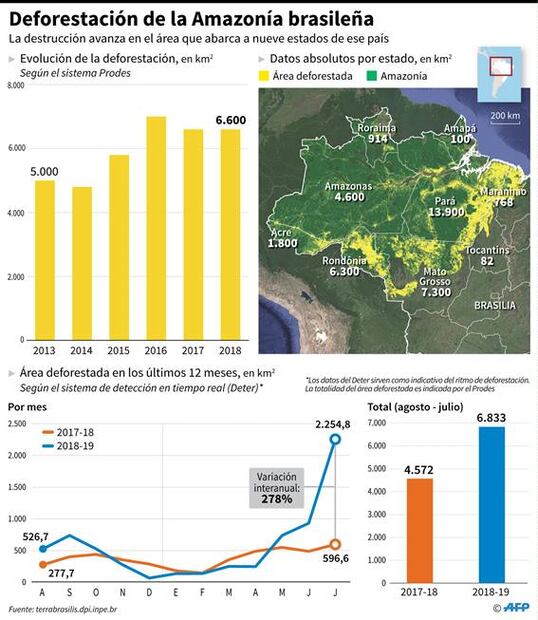 ¿Qué provocó los incendios forestales en la Amazonía brasileña?