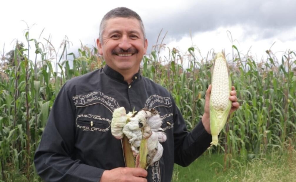 Productores agrícolas en Tlalpan piden consumir maíz en estas fiestas patrias