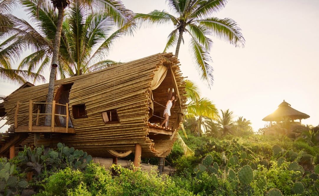Una casa del árbol en el hotel Playa Viva, en Guerrero. Foto: Cortesía
