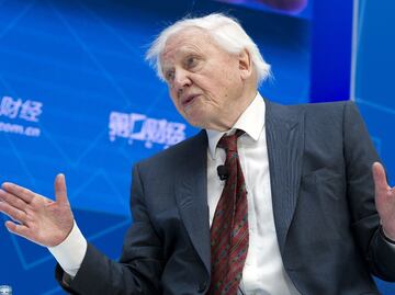 La advertencia de David Attenborough, ante el cambio climático, antes de que sea "demasiado tarde" para salvar al planeta