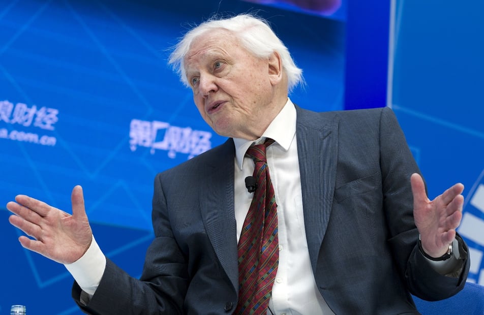 David Attenborough. Foto: AP / José Luis Magaña, archivo